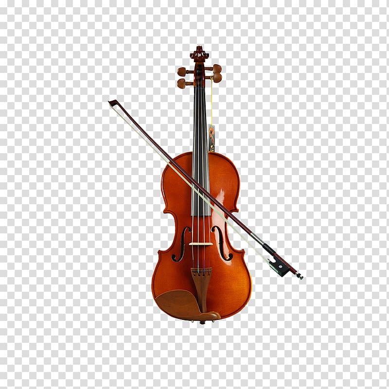 Musical instrument Violin Bowed string instrument Cello, kapok Zaomu beginner violin transparent background PNG clipart