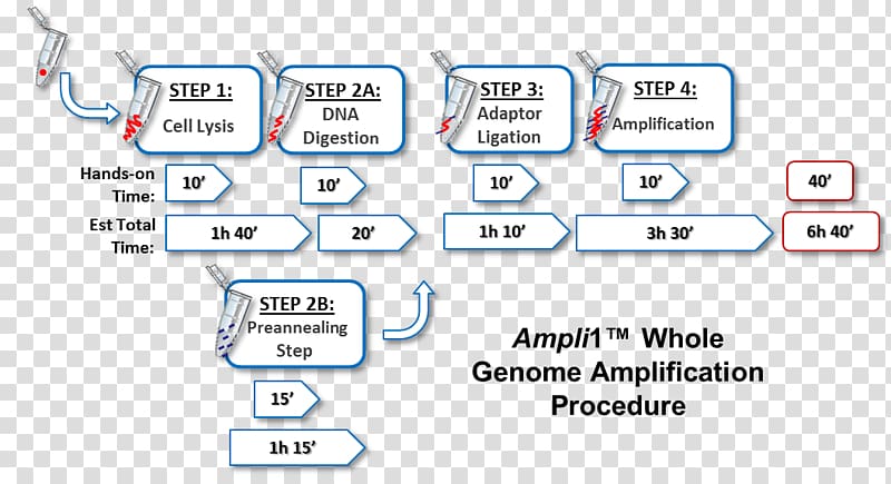 DNA Polymerase chain reaction Technology Genome Cell, others transparent background PNG clipart