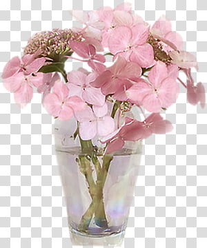Totally Transparent — Transparent Flower GIF Made by Totally