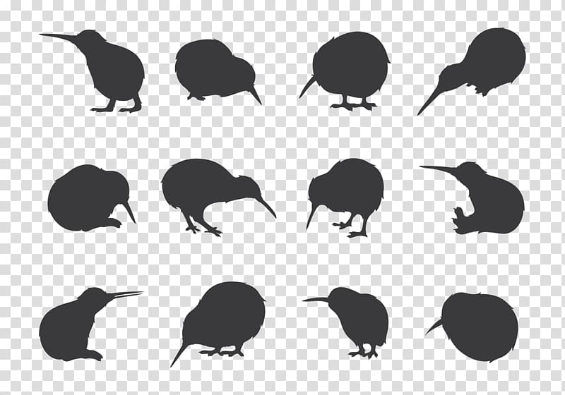 New Zealand Kiwis Silhouette Drawing, kiwi bird transparent background PNG clipart