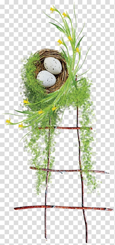 Floral design Easter, The ladder leading to the nest transparent background PNG clipart