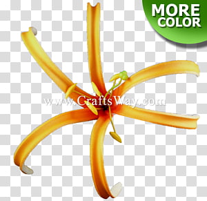 Body Jewellery Font, others transparent background PNG clipart thumbnail