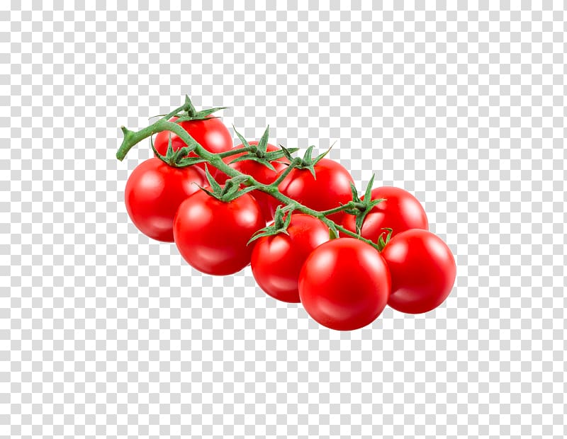 Plum tomato Bush tomato Cherry tomato Food Vegetable, vegetable transparent background PNG clipart