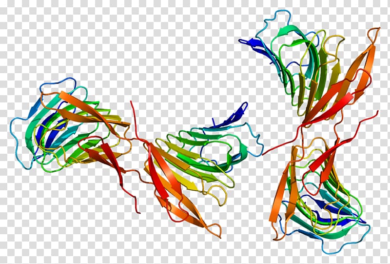 Adenylyl cyclase Protein Data Bank Cell Enzyme, others transparent background PNG clipart