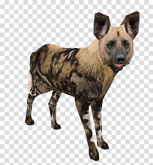 African wild dog Dhole Dog breed Zoo Tycoon 2: Marine Mania, Dog transparent background PNG clipart