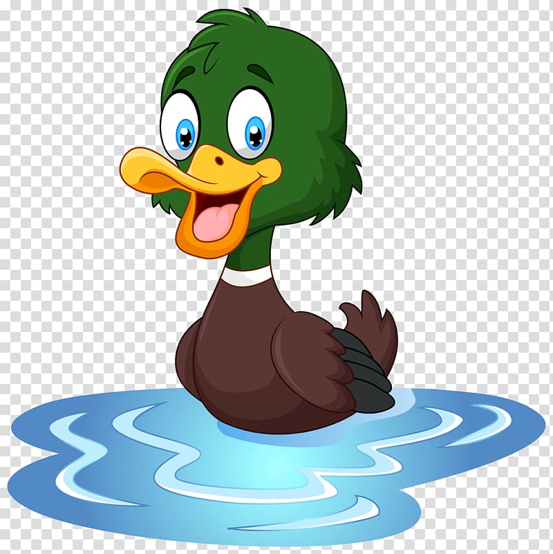 mallard duck , Duck T-shirt Cartoon Waterfowl Illustration, Duck transparent background PNG clipart