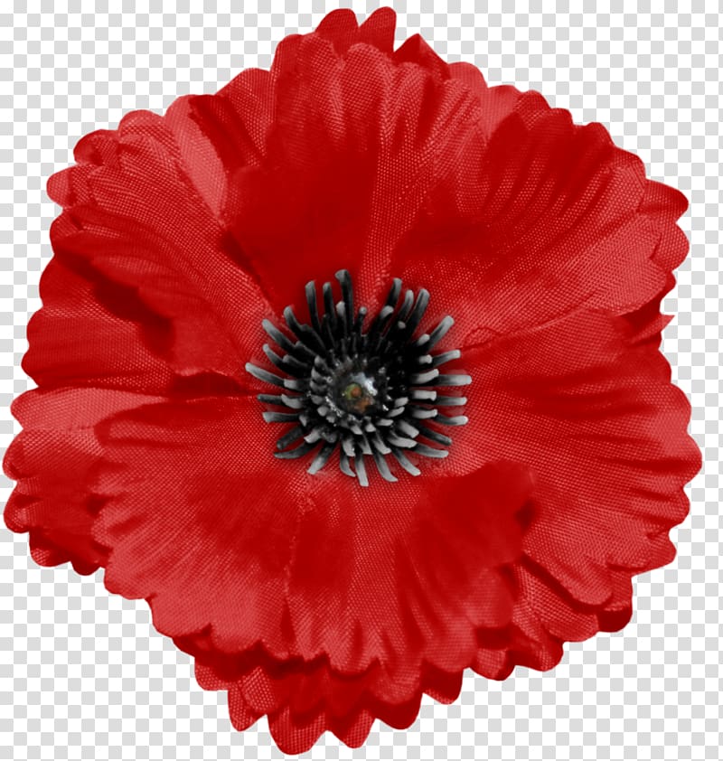Remembrance poppy Armistice Day Barrette Flower, Red Poppy transparent background PNG clipart