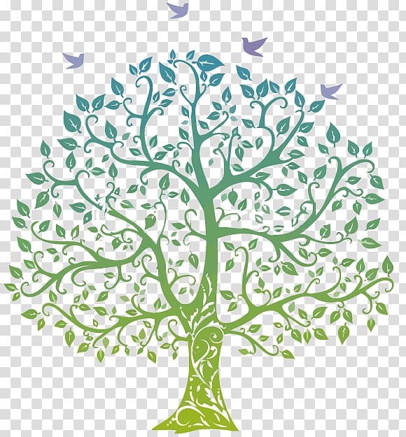 Family tree Genealogy , Family transparent background PNG clipart
