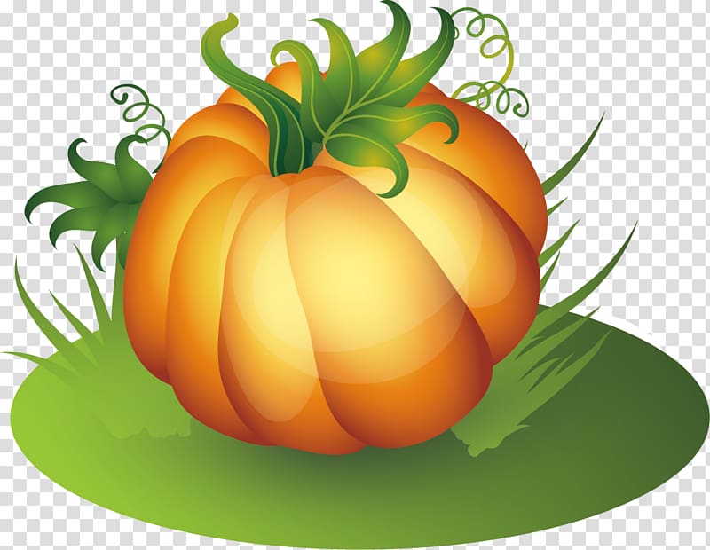 Pumpkin Thanksgiving, Creative pumpkin transparent background PNG clipart