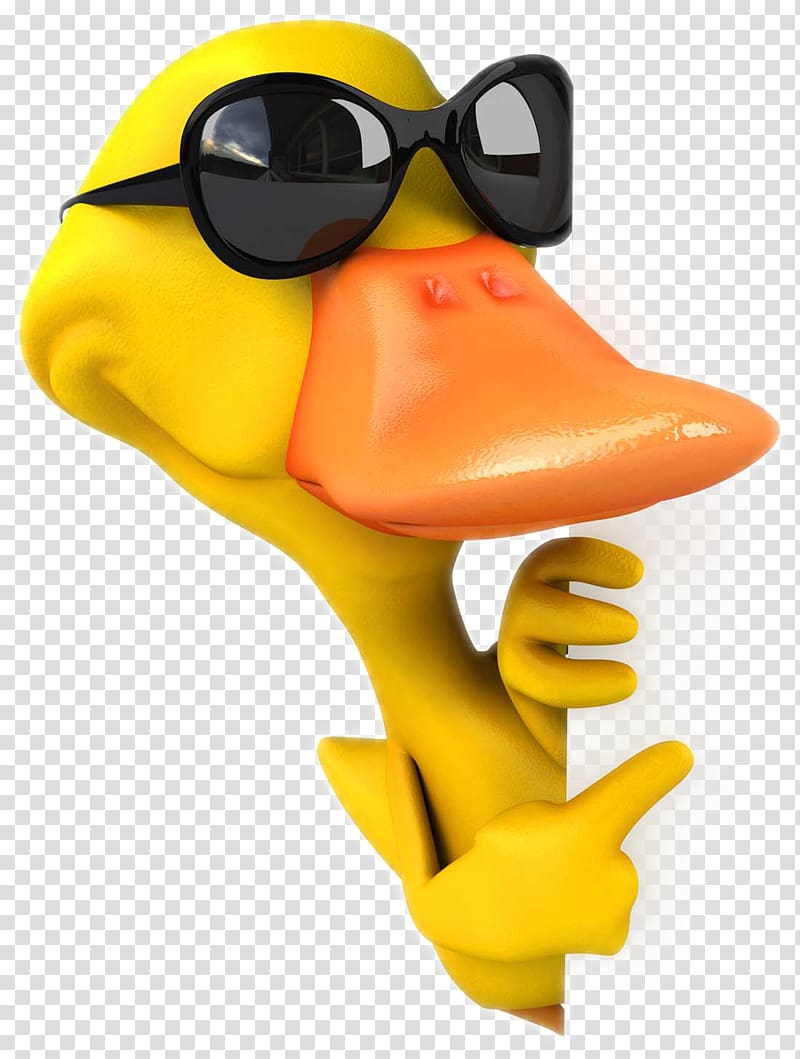 cartoon duck transparent background PNG clipart