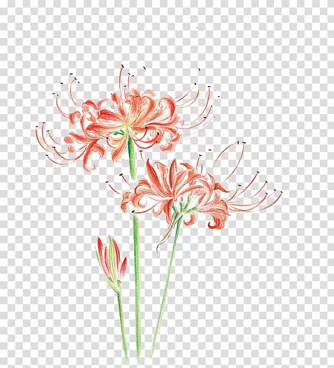 Flower Drawing Watercolor painting Illustration, Watercolor flowers transparent background PNG clipart