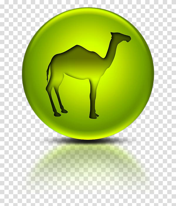 Bactrian camel Dromedary Information Computer Icons, playmate transparent background PNG clipart