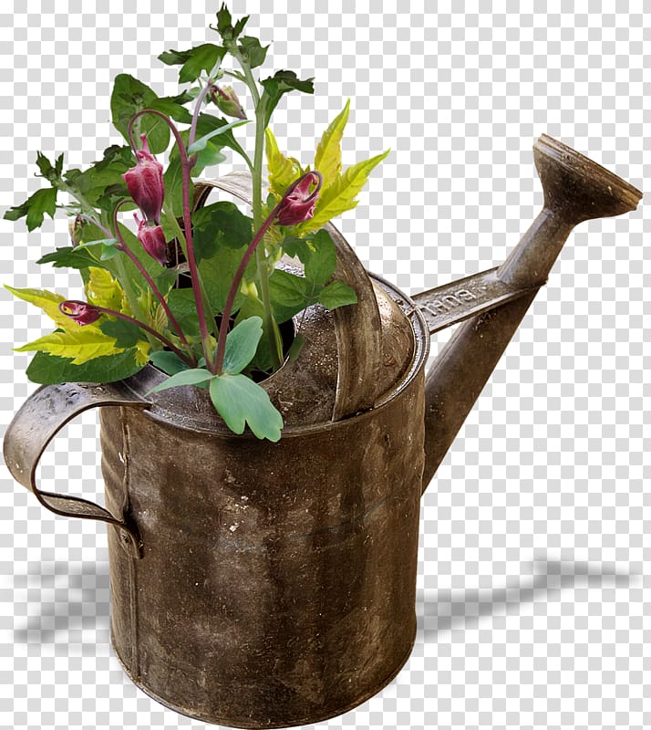 Watering Cans Gardening Flowerpot, Dubna transparent background PNG clipart