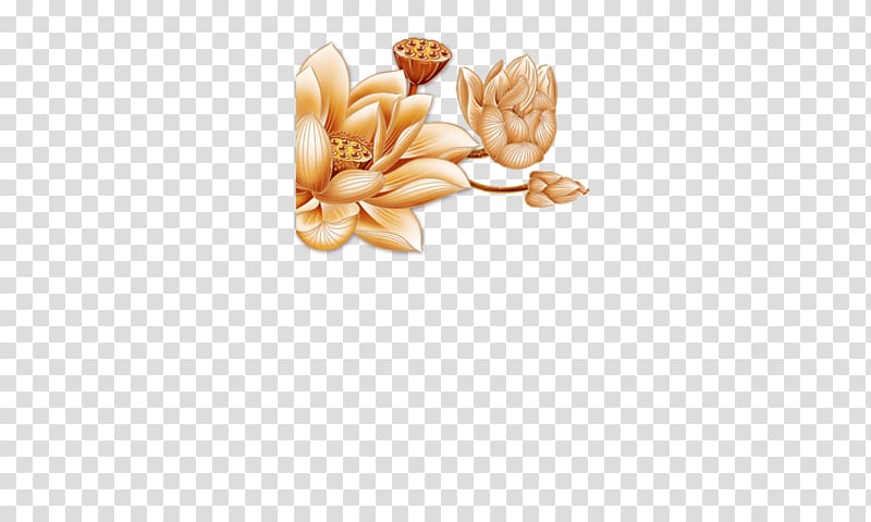 Nelumbo nucifera Pattern, Golden Lotus, Lotus transparent background PNG clipart