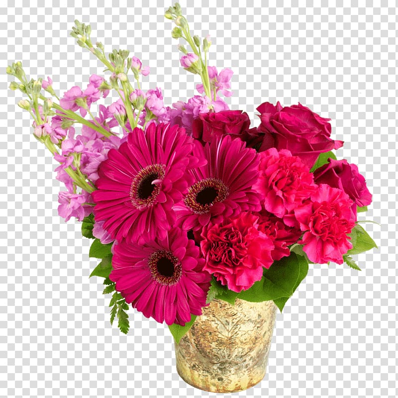 Transvaal daisy Flower bouquet Floral design Cut flowers, flower transparent background PNG clipart