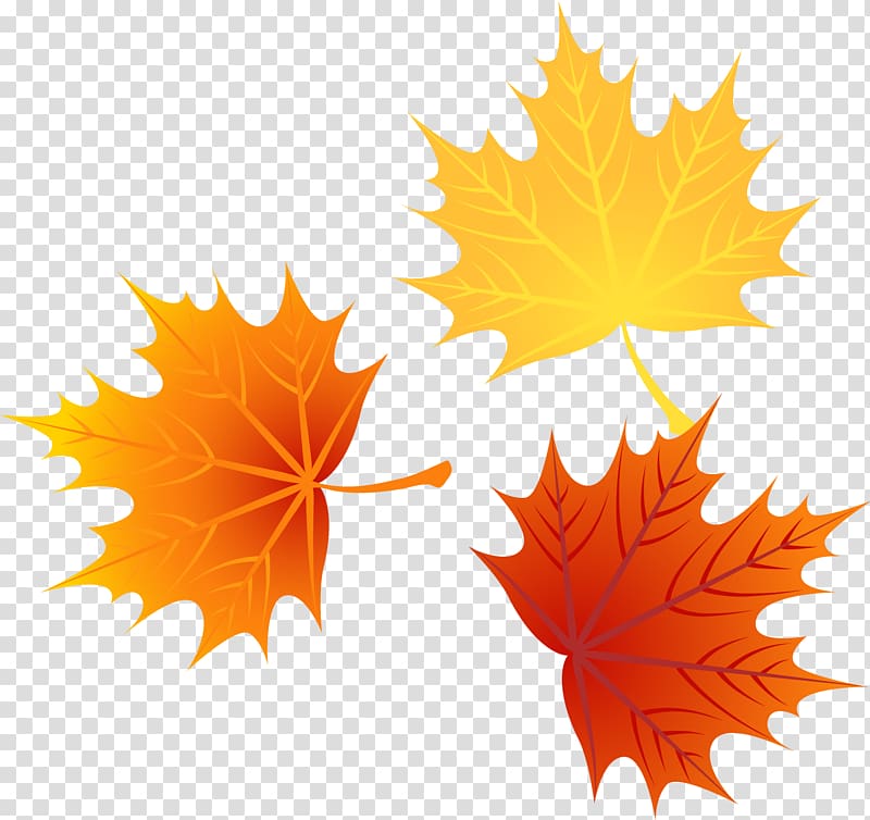 brown leaf art, Leaf Autumn Leaves Euclidean , autumn leaves 1 transparent background PNG clipart