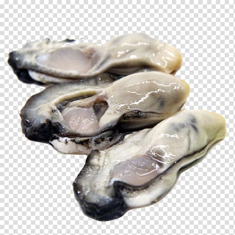 Oyster Seafood Clam Mussel Meat, Now peel oyster meat transparent background PNG clipart