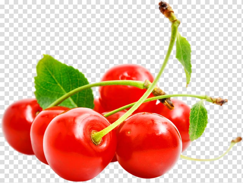 Cerasus Cherry Tutti frutti, red cherry , free transparent background PNG clipart