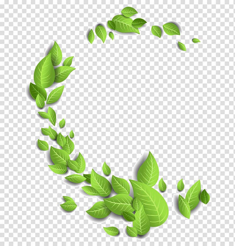 Leaf, Green and fresh leaves floating material transparent background PNG clipart