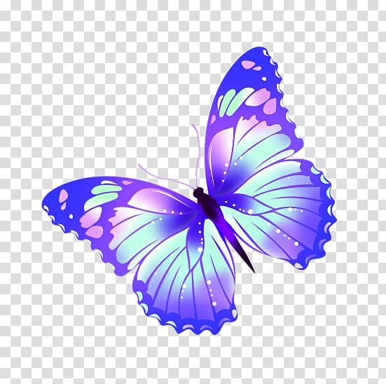 Butterfly, Magic Butterfly transparent background PNG clipart
