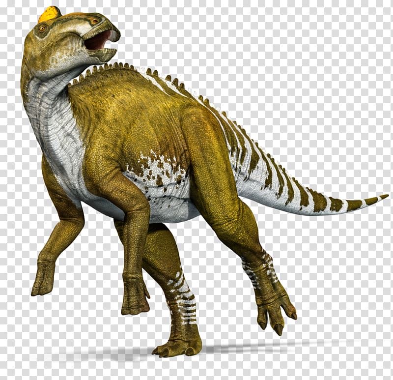 Edmontosaurus annectens Tyrannosaurus Lance Formation Gorgosaurus Late Cretaceous, jurassic world transparent background PNG clipart