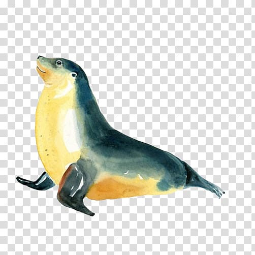 Sea lion Earless seal Creative Watercolor Watercolor painting, Seals sell Meng painted transparent background PNG clipart