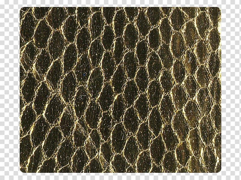 Place Mats, Golden snake transparent background PNG clipart