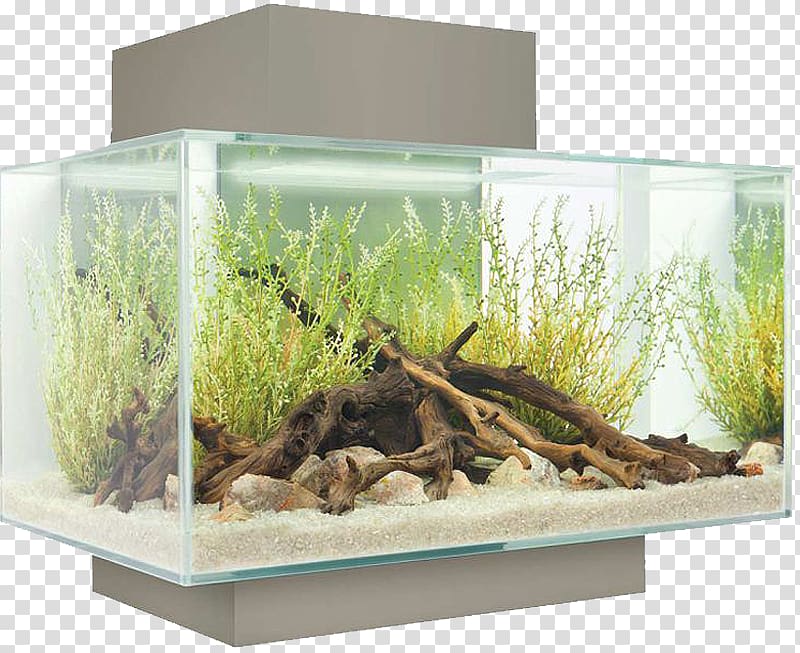 Light Nano aquarium Fishkeeping Filter, Rectangular tank transparent background PNG clipart
