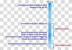 Document Line Angle Microsoft Azure Brand, line transparent background PNG clipart thumbnail