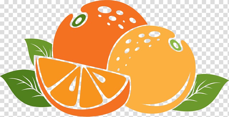 Mandarin orange App Store Auglis, Orange cartoon orange transparent background PNG clipart