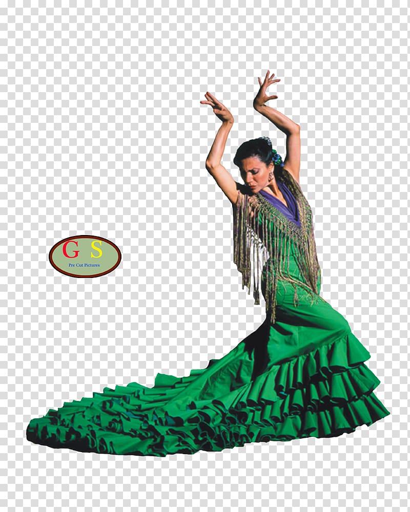 Flamenco Dance Rhumba Cha-cha-cha, flamenco transparent background PNG clipart