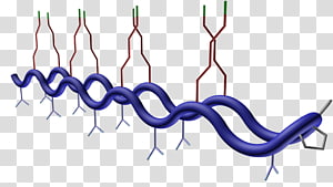 Organism , design transparent background PNG clipart thumbnail