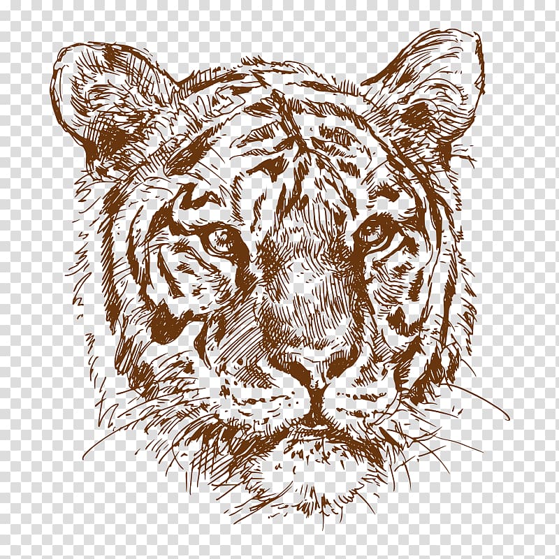 sketch,animal transparent background PNG clipart