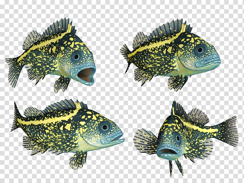 Deep sea fish, fish transparent background PNG clipart