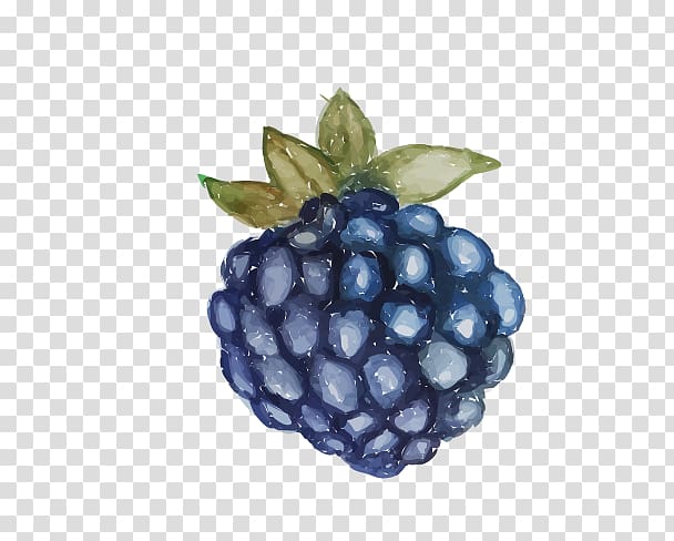 Grape Euclidean , Hand-painted blueberry transparent background PNG clipart