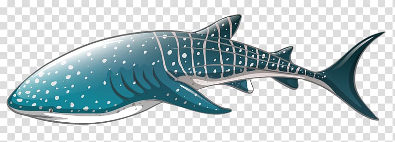 Whale shark , sharks transparent background PNG clipart