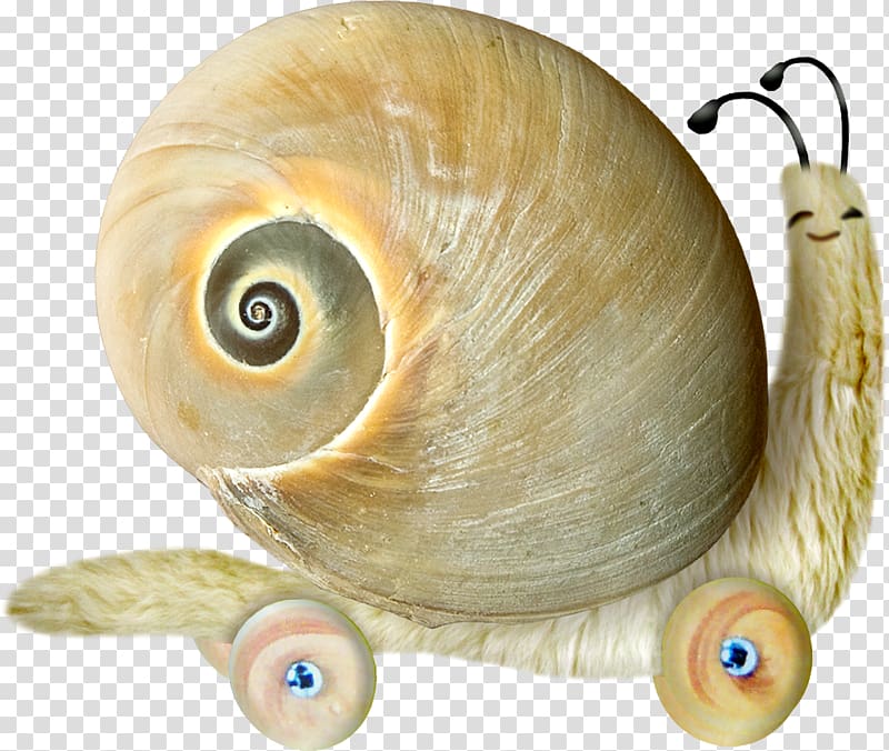 Snail Yandex Search , snails transparent background PNG clipart