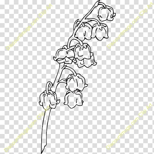 Drawing Line art, lily of the valley transparent background PNG clipart
