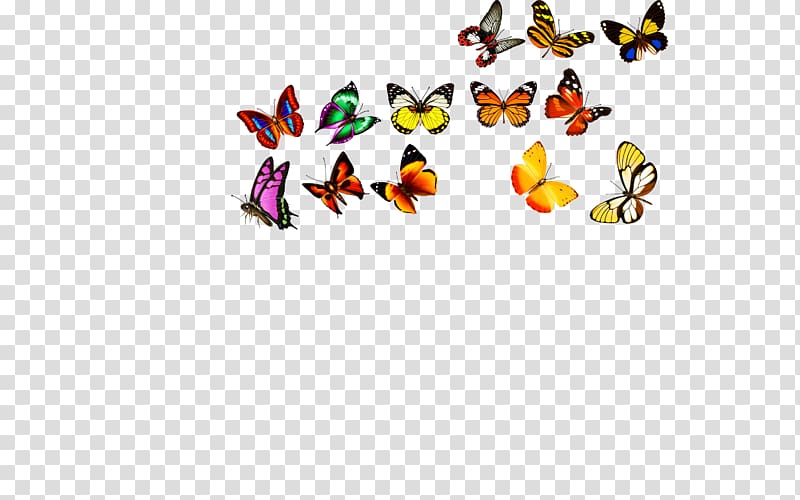 Butterfly Computer file, Butterfly,Creative Butterfly transparent background PNG clipart