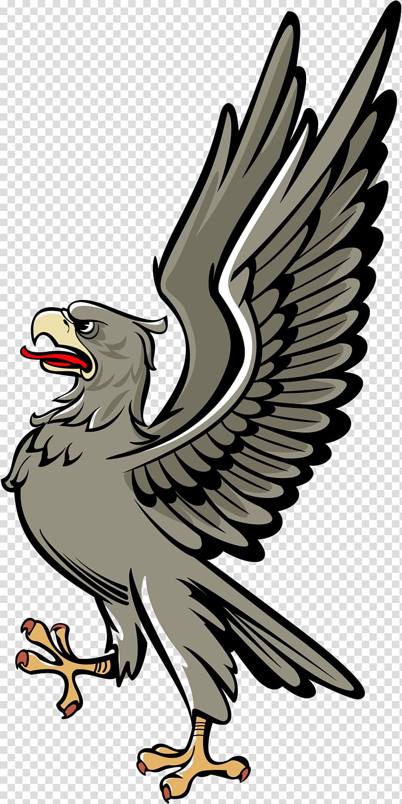 Bald Eagle Bird Heraldry, Bird transparent background PNG clipart