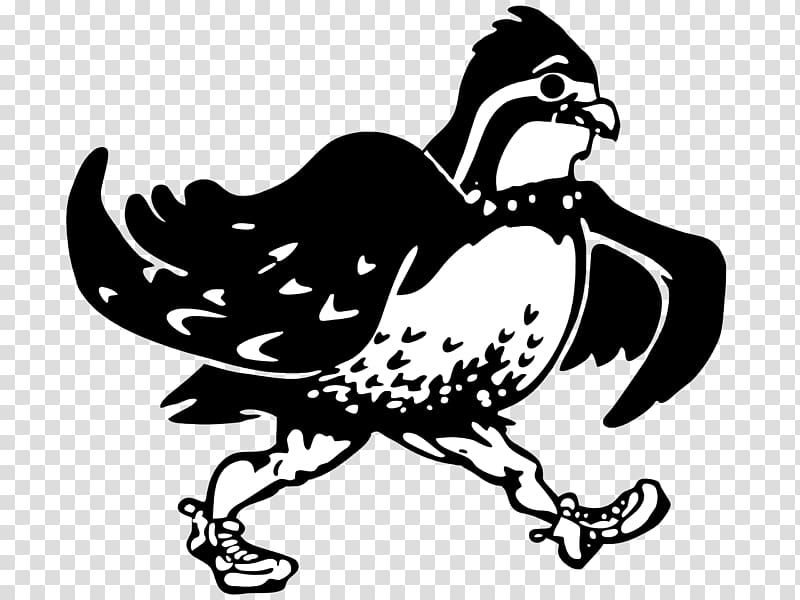 Quail Phasianidae Chicken Bird Logo, Quail transparent background PNG clipart