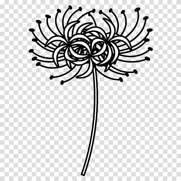 33 Spider Lily ideas  red spider lily lily tattoo lily