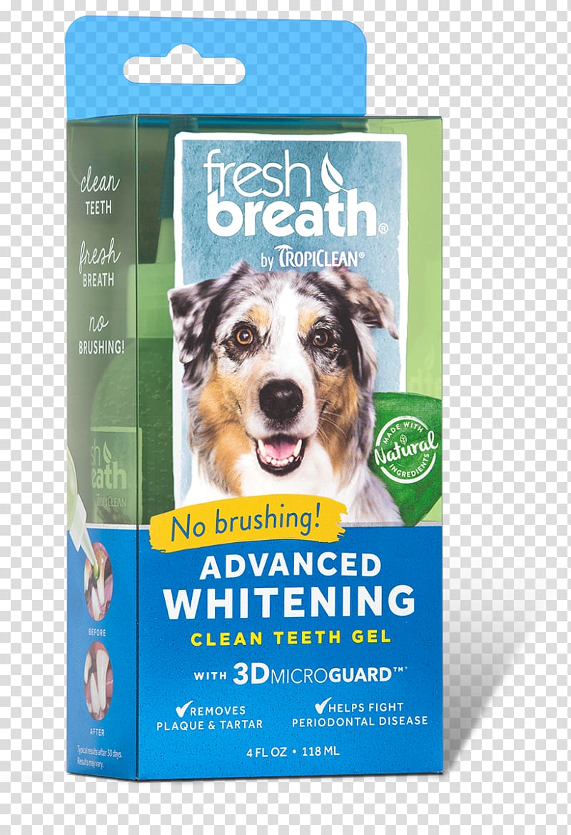 Dog Teeth cleaning Tooth whitening Oral hygiene, Dog transparent background PNG clipart