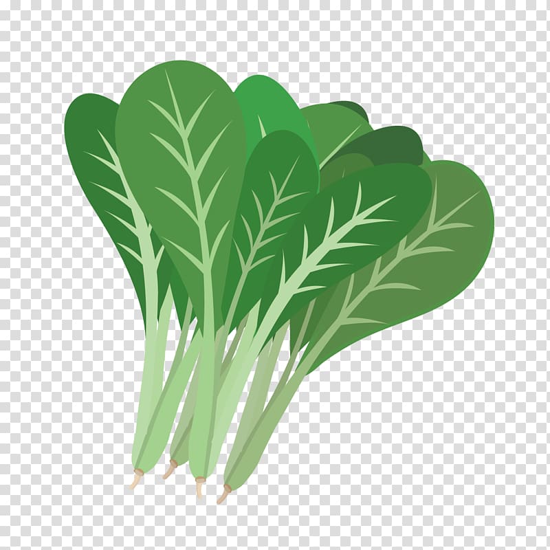 Komatsuna Leaf vegetable Seasonal food, mustard transparent background PNG clipart