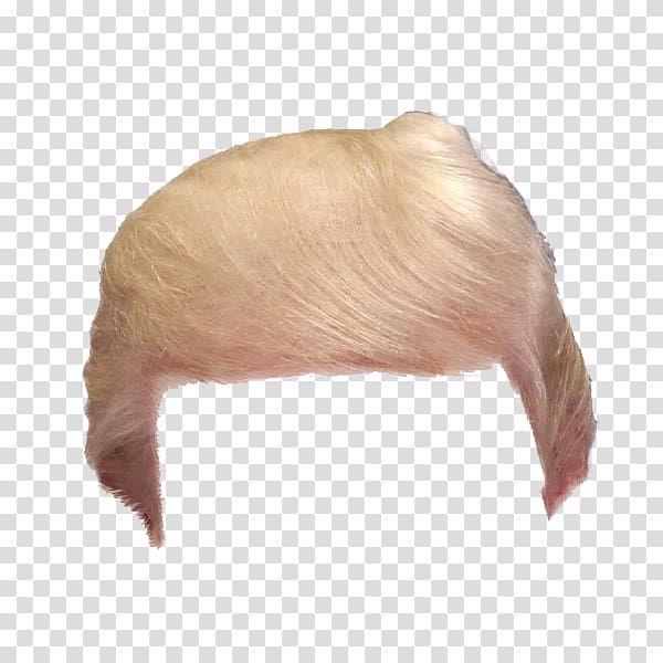 Hair Wig Make America Great Again, hair transparent background PNG clipart