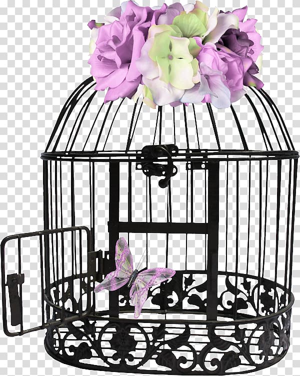 Birdcage Birdcage , Bird transparent background PNG clipart