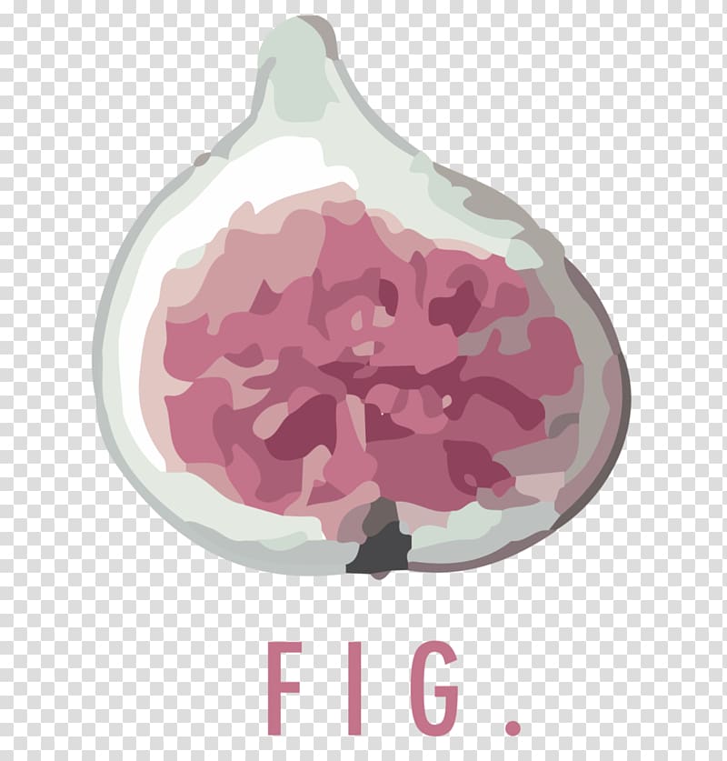 Graphic design Logo Creative services, fig transparent background PNG clipart