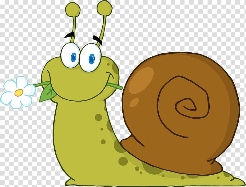 Snail Cartoon , Diao flower snail transparent background PNG clipart