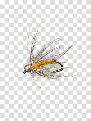 Artificial fly Hackles Fly fishing, Holly Flies transparent background PNG  clipart
