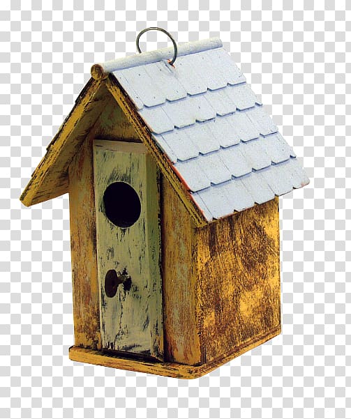 Western bluebird Nest box Bird nest House, Bird transparent background PNG clipart